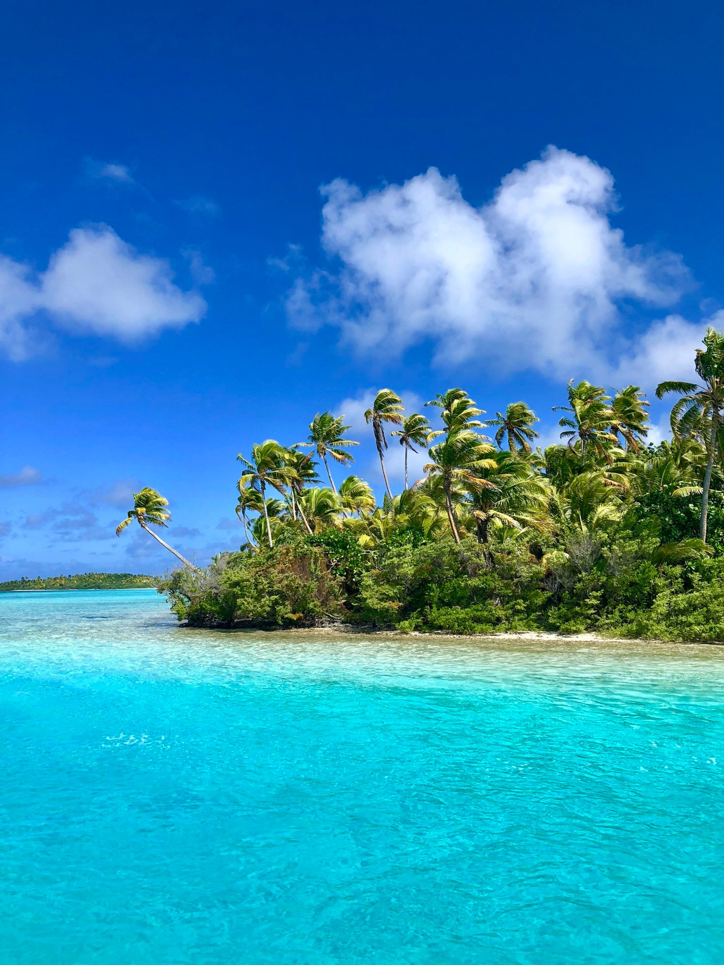 Unique Activities Offered by Maldives All-Inclusive Resorts